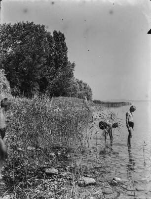 Am See : Jungen baden im Neuenburgersee