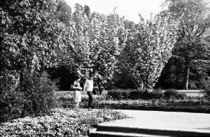 Freiburg: Blühende Bäume im Stadtgarten mit Publikum