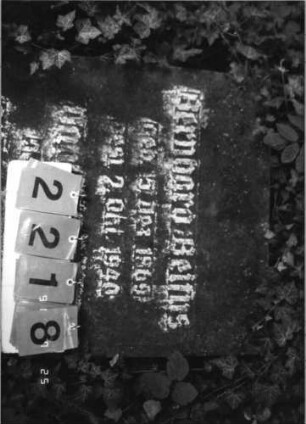 Grabstein 2218 [Hahn S. 41 Grab-Nr. 3176]: Grabstein 2218 (Detailaufnahme 1) [Hahn S. 41 Grab-Nr. 3176]