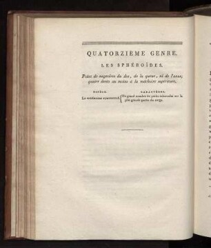 QUATORZIÉME GENRE