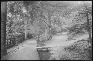 Bad Harzburg. Philosophenweg