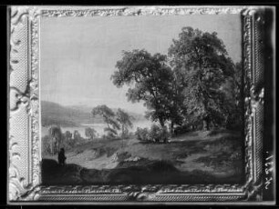 Uferlandschaft mit Bäumen