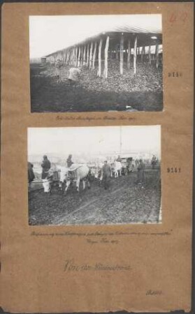 Erbeutetes Maislager vor Braila