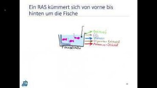 Meere schonen - Fische züchten