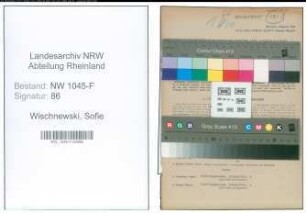 Entnazifizierung Sofie Wischnewski , geb. 29.04.1909 (Bueroangestellte)