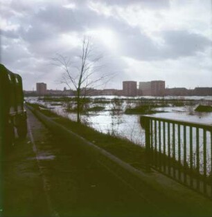 Sturmflut Hamburg 1962. Überflutete Wiesen in der Nähe eines Neubaugebietes