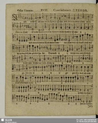 XVIII. Ist nicht Ephraim