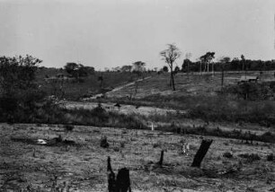 Gerodetes Land : Im Vordergrund gerodetes Land. Im Hintergrund auf den Hängen Grasland mit Bäumen, oben auf dem Hügel Wald.