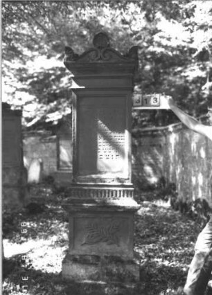 Grabstein 313 (Index: 99609950) Material: Sandstein Zustand: leicht, am Sockel stark verwittert Maße HxBxT: 248x72x36 cm Beschreibung: Stele, Abdeckplatte, Volutenaufsatz, Seitenakrotere, Mittelpalmette, Schriftfeld eingetieft, getreppter Sockel, darauf gekreuzte Palmzweige Symbolik: Voluten, Palmette, gekreuzte Palmzweige: Grabstein 313