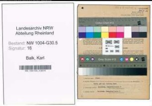 Entnazifizierung Karl Balk , geb. 16.09.1891 (Verlademeister)