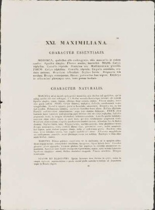 XXI. Maximiliana.