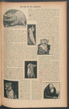 La risa en los animales