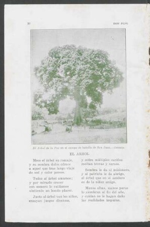 El árbol