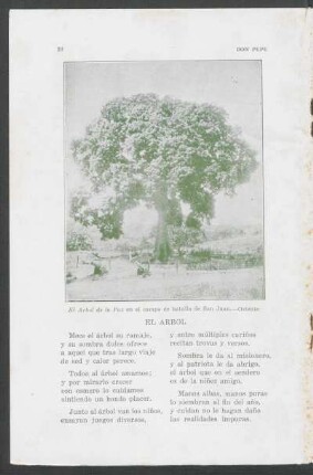 El árbol
