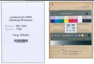 Entnazifizierung Wilhelm Tang , geb. 10.01.1903 (Schweisser)