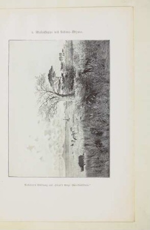 4. Massaisteppe mit Kilima-Ndjaro