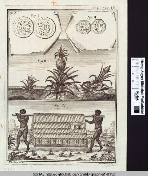 Schrift - Ananas - zwei Schwarze tragen eine Sänfte