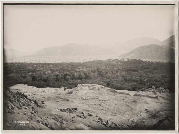 Ruins of the Cerro de Borró