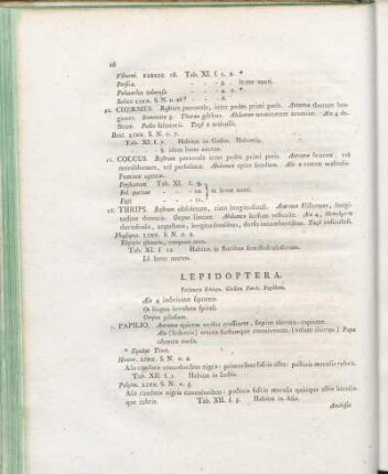 Lepidoptera.