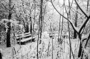 Staufen: Parkmotive im Schnee