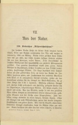 VII. Aus der Natur