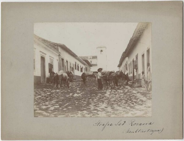 Mule troop on the São Rosario road in Cuyabá