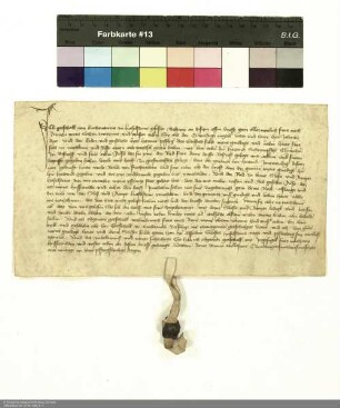 Gottschalk von Buchenau und seine Frau Anna, aus Haselstein, genehmigen den zwischen dem Stift Fulda und Hertnid Schrimpf vorgenommen Gütertausch