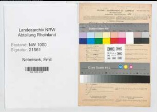 Entnazifizierung Emil Nebelsiek, geb. 29.05.1903 (Kunstmaler)