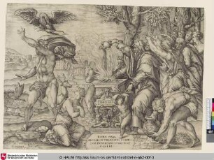 Iphigenia