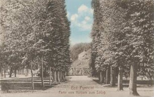 Schlossallee mit Blick zum Schloss