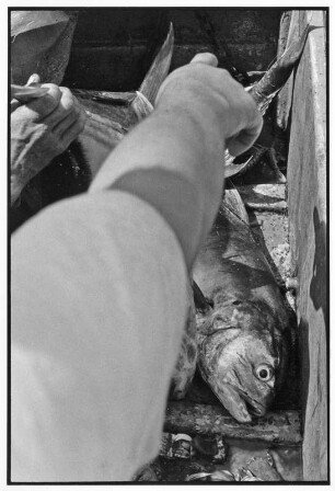 La Libertad. Fischverkauf