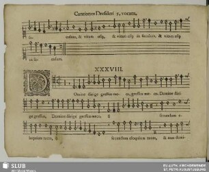 XXXVIII. Domine dirige gressus meos
