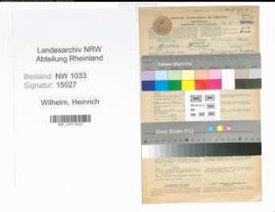 Entnazifizierung Heinrich Wilhelm , geb. 01.06.1900 (Arbeiter)