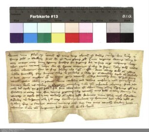 Indulgenzbrief Withegos [I. von Furra], Bischof von Meißen für das Stift Johannesberg