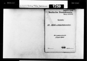 Wiederbesiedlung der Stadt Kehl