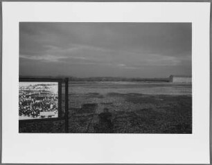 Buchenwald