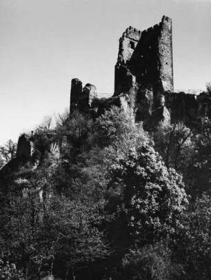 Burgruine Drachenfels
