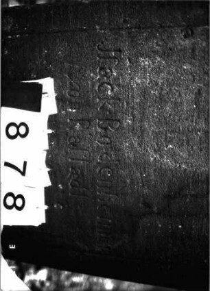 Grabstein 878 (Detailaufnahme)