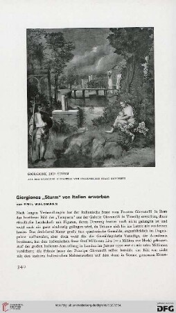 Giorgiones "Sturm" von Italien erworben