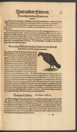 Von dem Väldhun. Gallina rustica.