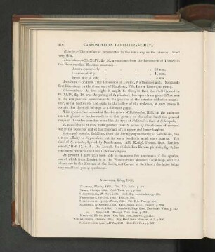 Allorisma, King, 1849.