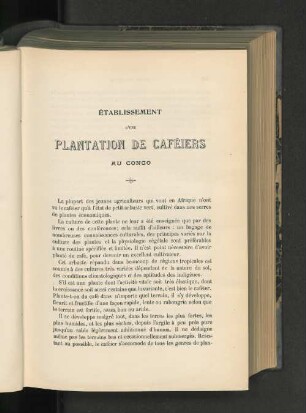 Établissement D'Une Plantation De Caféiers Au Congo.
