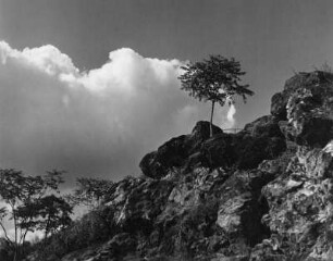 Wolkenbilder. Budapest. Wolken über Felsen mit einzelnem Baum (vielleicht im Bereich der Zitadelle)