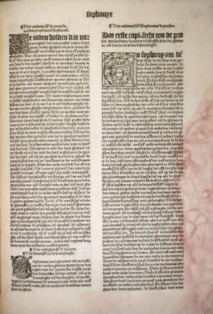 [Hyr anheuet sik de vorrede yn den prophetenSophoniā.]
