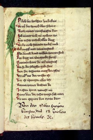 Drache