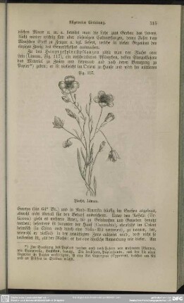 Fig. 117. Flachs, Linum