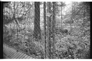 Kleinbildnegativ: Riehmers Hofgarten, 1976