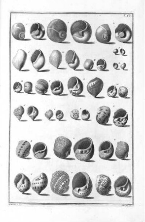 Tab. 67