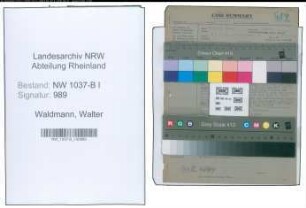Entnazifizierung Walter Waldmann , geb. 08.07.1906 (Stadtinspektor)
