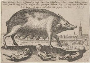 Ware abbildung Dreyer Erschreklichen Wunder-thieren vnd Mißgeburten, so von einner Schwein-mutter//bey der Statt Strasburg, vor dem Metziger-thor geworffen worden, den 20 Iuny 1627. Welche vom/ dorff Lings ist dahin geschrieben und geflehet worden.